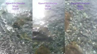 Мисхор, ЮБК море и прогулка у воды