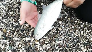 Кемер Кириш Средиземное море рыбалка у берега