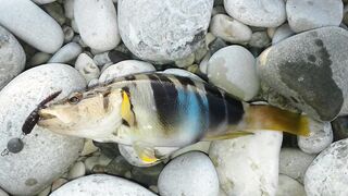 Кемер Кириш Средиземное море рыбалка у берега