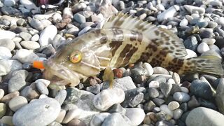 Кемер Кириш Средиземное море рыбалка у берега