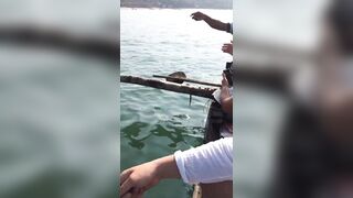 Гоа - на рыбалке попалась ядовитая мурена, осторожно