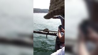Гоа - на рыбалке попалась ядовитая мурена, осторожно