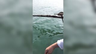 Гоа - на рыбалке попалась ядовитая мурена, осторожно