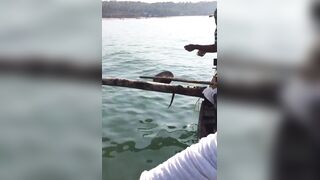 Гоа - на рыбалке попалась ядовитая мурена, осторожно