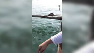 Гоа - на рыбалке попалась ядовитая мурена, осторожно