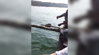 Гоа - на рыбалке попалась ядовитая мурена, осторожно