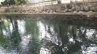 Кемер Кириш отзыв о рыбалке-пикнике у моря