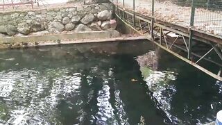 Кемер Кириш отзыв о рыбалке-пикнике у моря