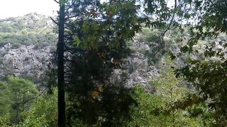 Кемер Кириш отзыв о рыбалке-пикнике у моря