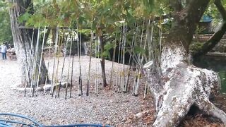 Кемер Кириш отзыв о рыбалке-пикнике у моря