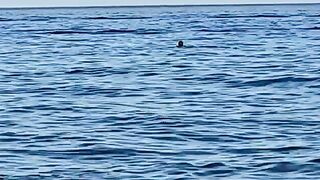 Кириш, Кемер Турция море +28 и пляж с дрона