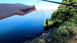 Куба - видео про рыбалку