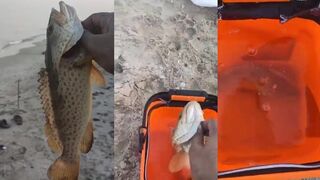 Umm Al Quwain Beach (пляж Умм-эль-Кайвайн) береговая рыбалка