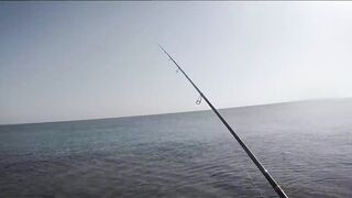 Dibba, Musandam (Мусандам) рыбалка у берега в Омане