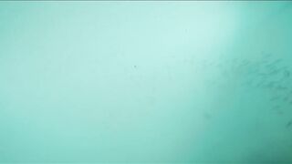 Dibba, Musandam (Мусандам) рыбалка у берега в Омане