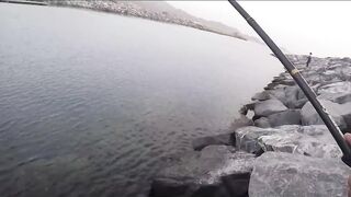 Dibba, Musandam (Мусандам) рыбалка у берега в Омане