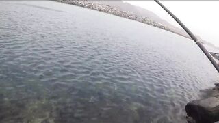 Dibba, Musandam (Мусандам) рыбалка у берега в Омане