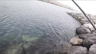 Dibba, Musandam (Мусандам) рыбалка у берега в Омане