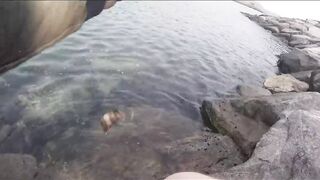 Dibba, Musandam (Мусандам) рыбалка у берега в Омане