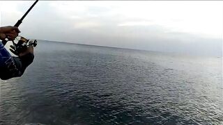 Dibba, Musandam (Мусандам) рыбалка у берега в Омане