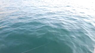 Dibba, Musandam (Мусандам) немного рыбалки у моря