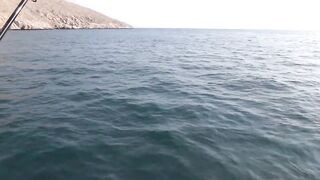 Dibba, Musandam (Мусандам) немного рыбалки у моря