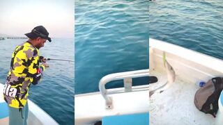 Dibba (Дибба) прогулка на катере и барракуда у моря