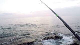 Dibba, UAE (ОАЭ) тунец у берега рокфишинг