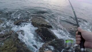 Dibba, UAE (ОАЭ) тунец у берега рокфишинг