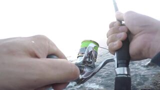 Dibba, UAE (ОАЭ) тунец у берега рокфишинг