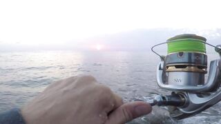 Dibba, UAE (ОАЭ) тунец у берега рокфишинг