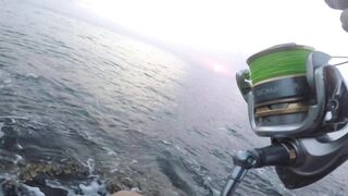 Dibba, UAE (ОАЭ) тунец у берега рокфишинг