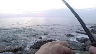 Dibba, UAE (ОАЭ) тунец у берега рокфишинг