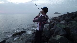 Dibba, UAE (ОАЭ) тунец у берега рокфишинг