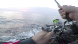 Dibba, UAE (ОАЭ) тунец у берега рокфишинг