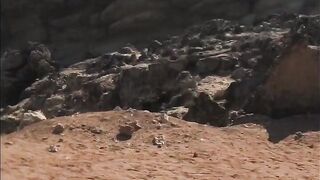 Ras Al Hadd (Рас-эль-Хадд) полный маршрут точки у берега