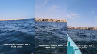 Ras Al Hadd (Рас-эль-Хадд), Oman (Оман) прогулка на катере