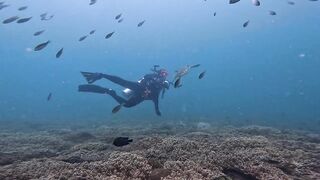 Ras Al Hadd (Рас-эль-Хадд), Oman (Оман) - рыбалка 10-11.07.2025