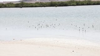 Ras Al Hadd (Рас-эль-Хадд) берег и рыбалка у моря