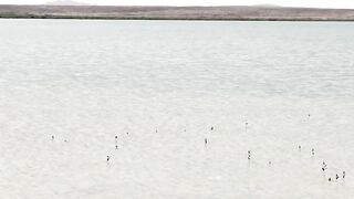 Ras Al Hadd (Рас-эль-Хадд) берег и рыбалка у моря