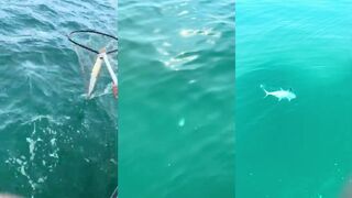 Рас-эль-Хайма - морская рыбалка у берега и спокойная вода