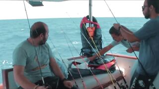 Ain Sokhna (Айн-Сохна), Egypt (Египет) морская рыбалка у берега