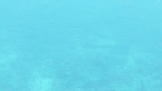 El Quseir (Эль-Кусейр) 11.05.2022 риф Erg Lassal и северный хаус-риф