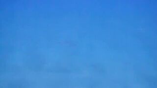 El Quseir (Эль-Кусейр) Kilo 10 Красное море рыбалка у рифа