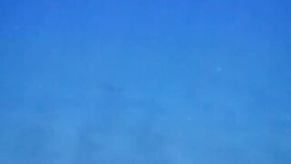 El Quseir (Эль-Кусейр) Kilo 10 Красное море рыбалка у рифа