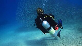 El Quadim (Эль-Куадим) барракуды у рифа