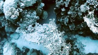 El Quseir (Эль-Кусейр) сентябрь 2022 акула на сноркелинге