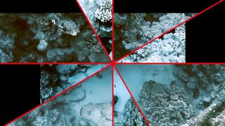 El Quseir (Эль-Кусейр) сентябрь 2022 акула на сноркелинге