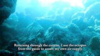 Egypt, Roots Camp, Pharaoh Dive Club, El Quseir, Diving, Red Sea