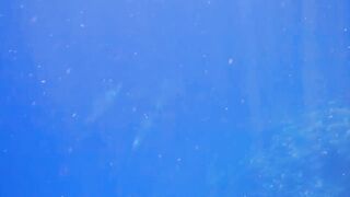 El Quseir Kilo10: риф близко — морская рыбалка на рассветной воде